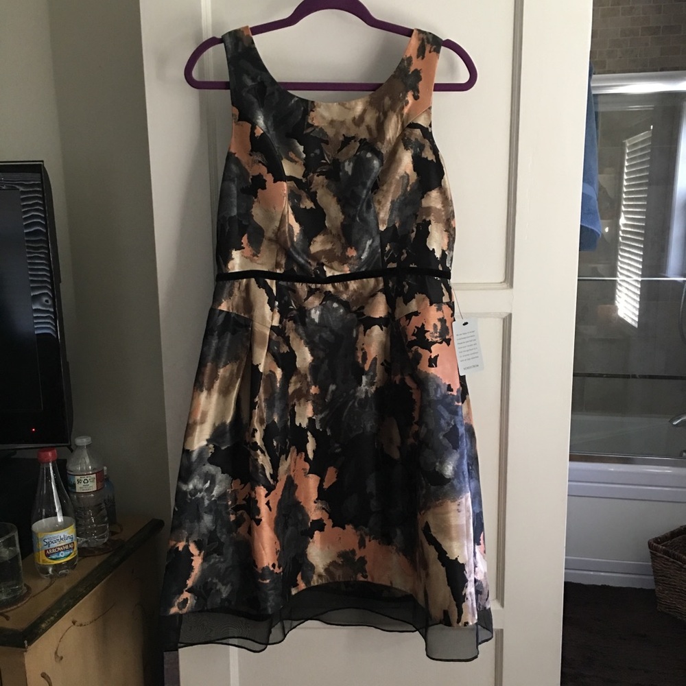 Never Worn Donna Ricco Dress From Nordstrom!